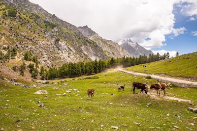 Mountain landscape Nanga Parbat Astore Valley Gilgit Baltistan